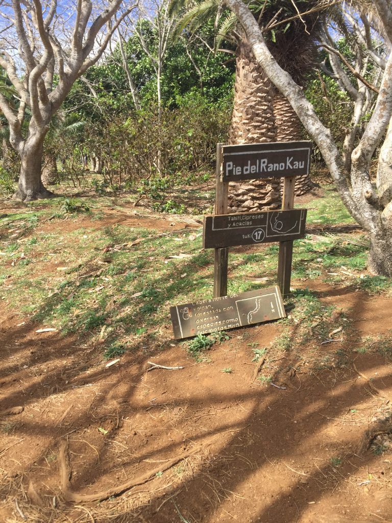 anakena isla de pascua