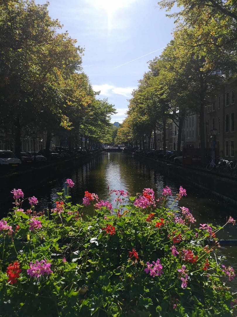 la haya imprescindibles que ver