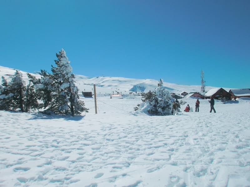 que ver en granada en un dia