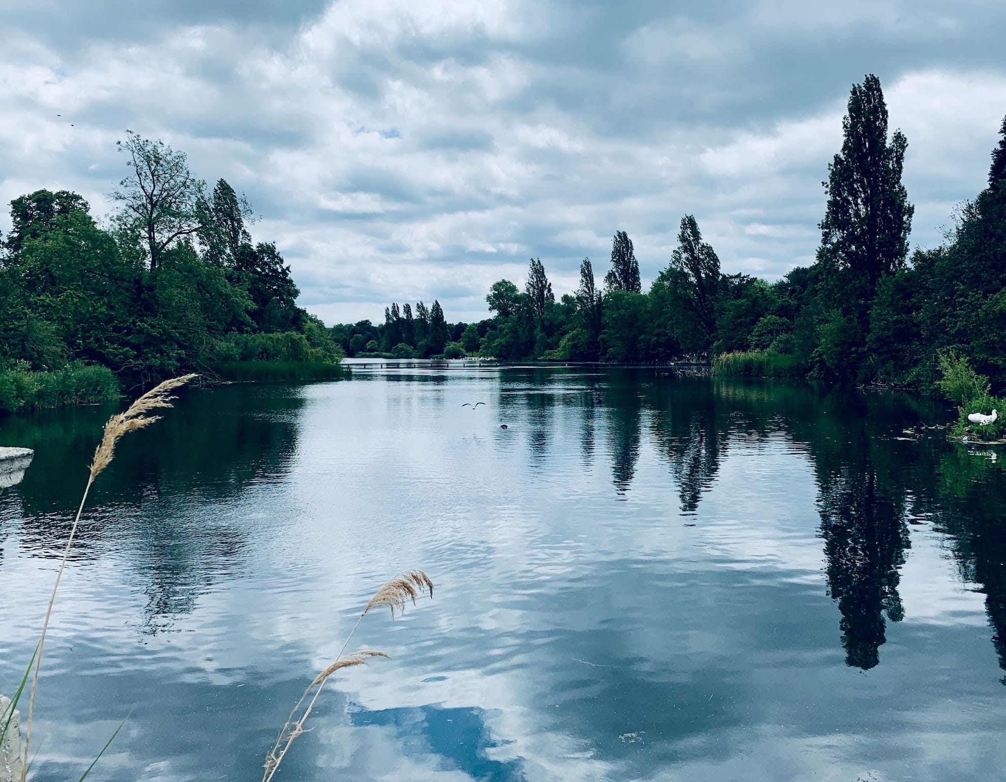 que hacer en londres con niños en 4 dias