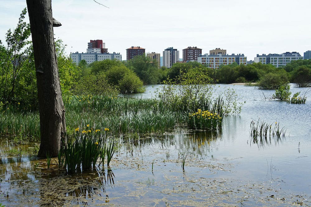 que ver en vitoria en un día
