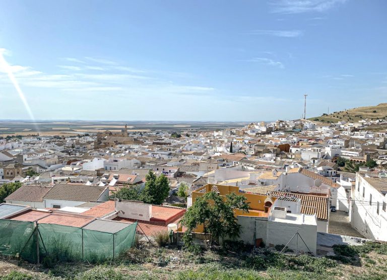 colegiata de osuna horarios