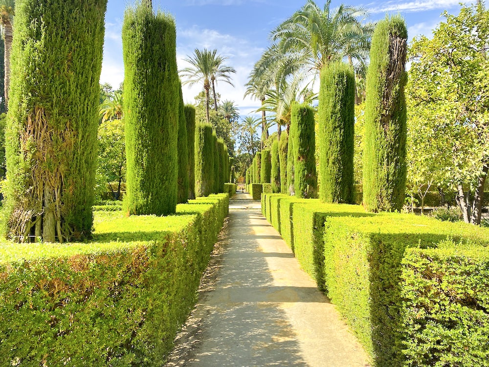 free tour por sevilla