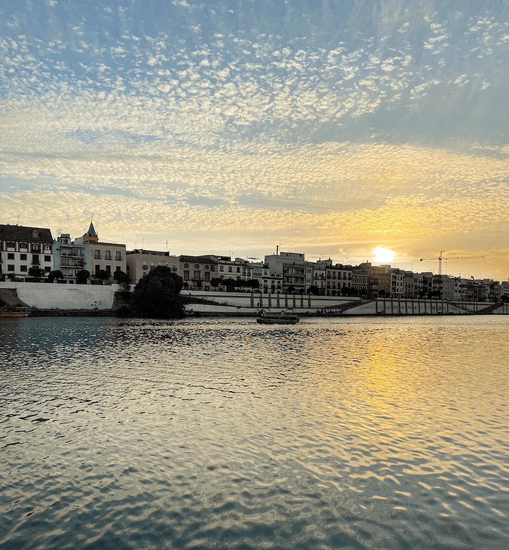 free tour sevilla español