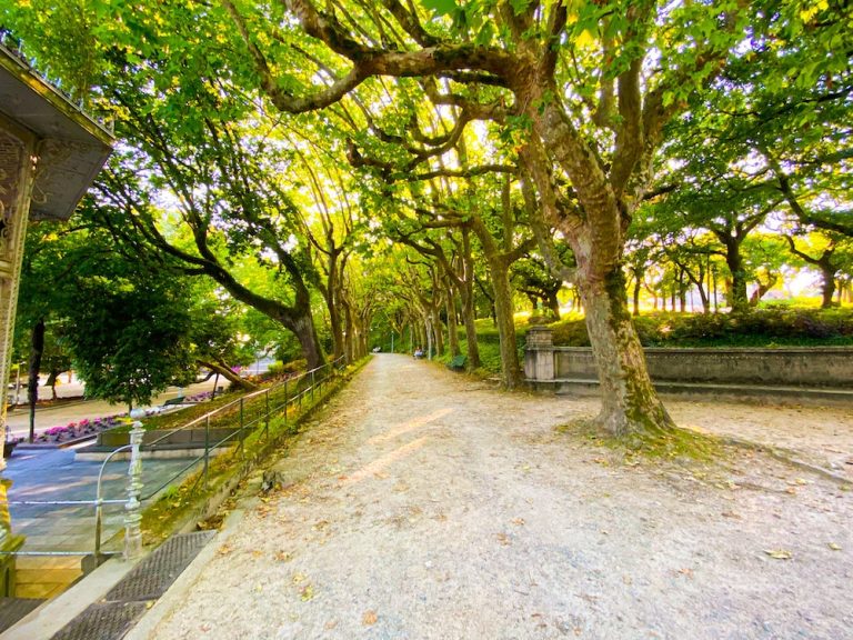 que ver en un dia en santiago de compostela