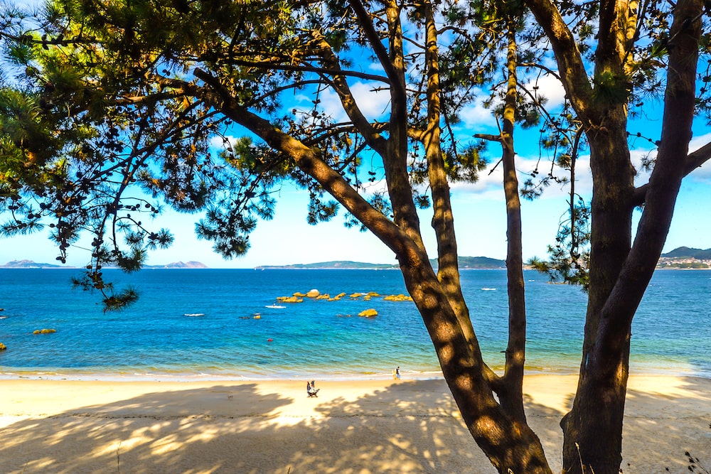 hoteles en pontevedra playa