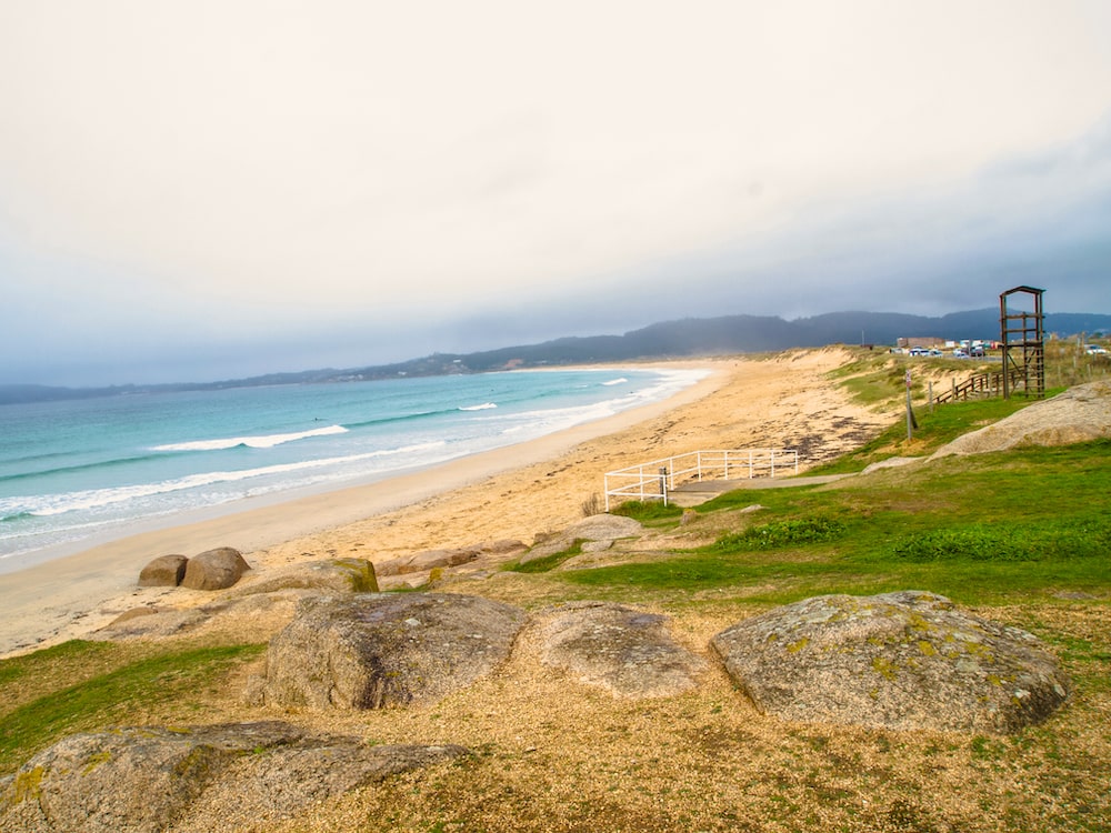 playas para perros en pontevedra
