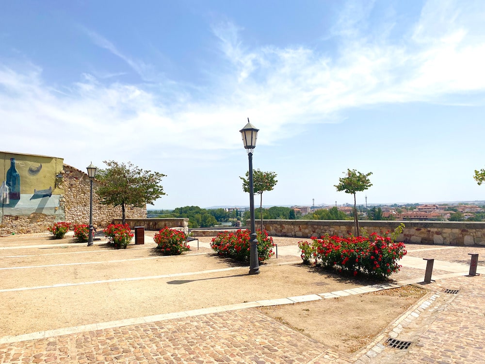 cosas que ver en zamora