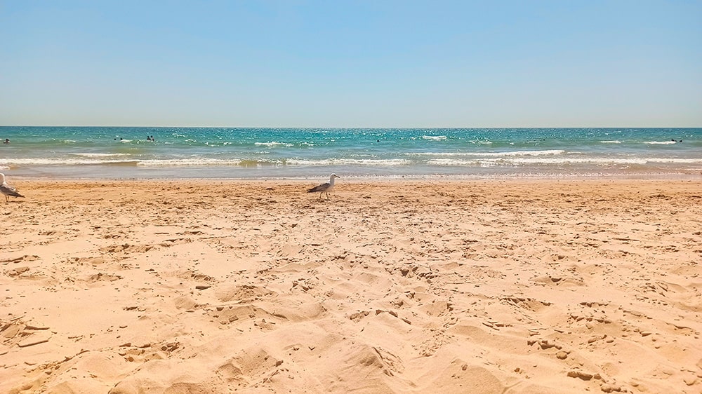 playas cadiz