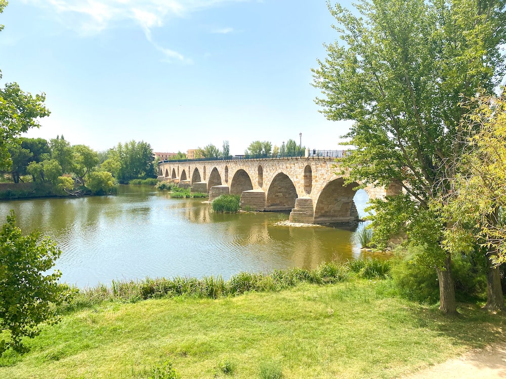 que ver y hacer en zamora