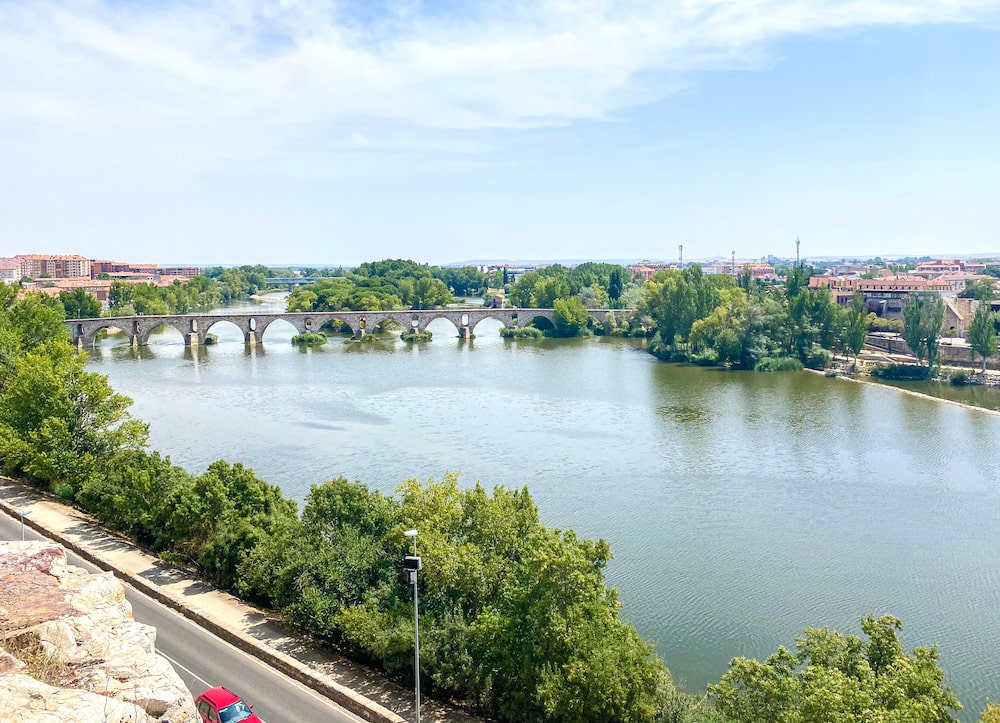 zamora planes que hacer