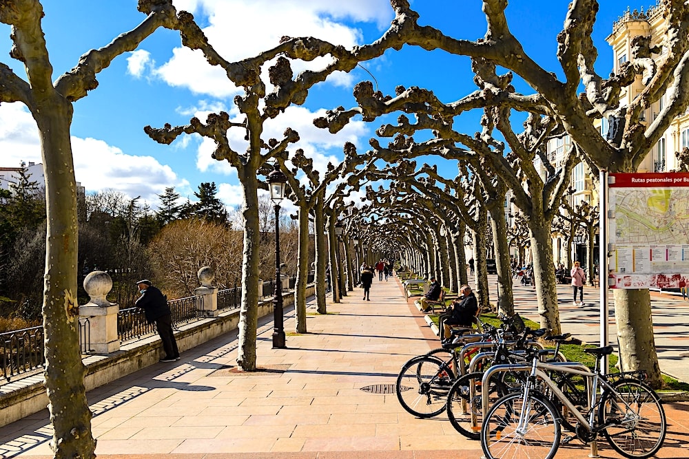 que ver en burgos capital y provincia