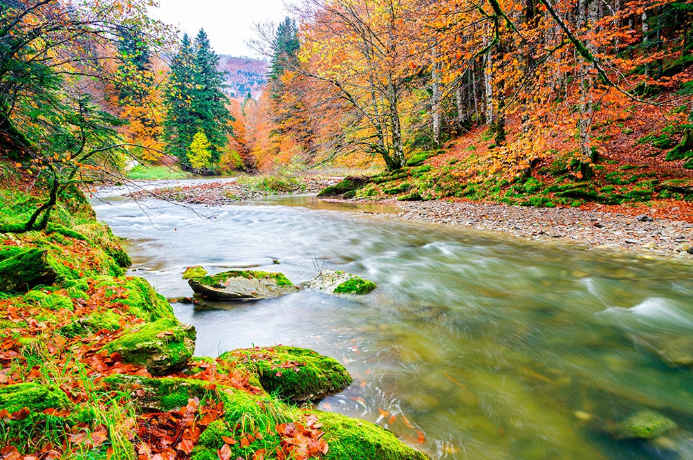cosas para ver en navarra