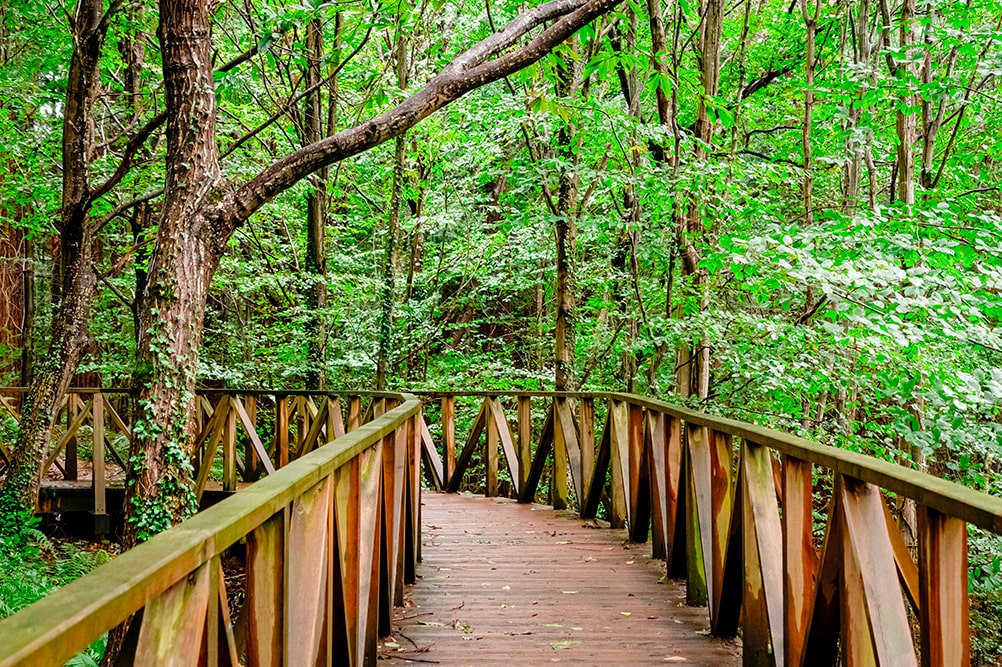 q ver en cantabria bonitos