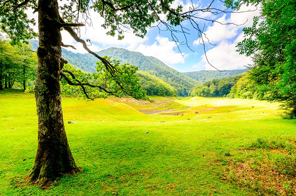 que ver en el pirineo navarro