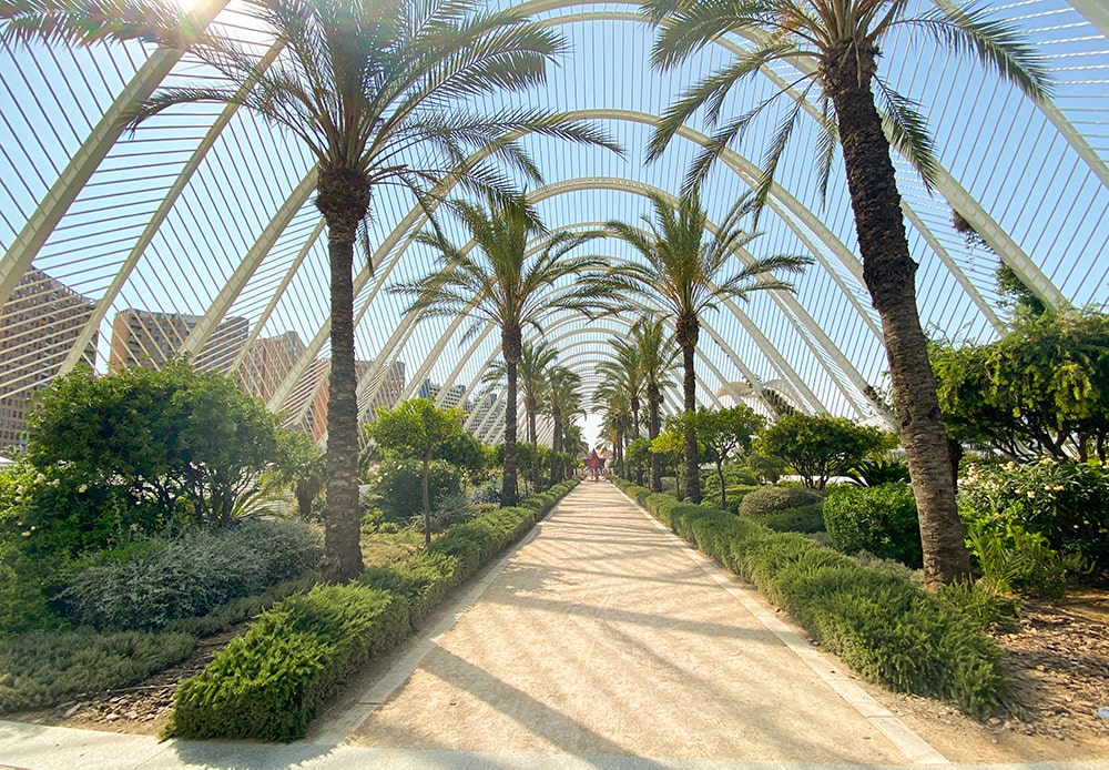 que ver en valencia imprescindibles