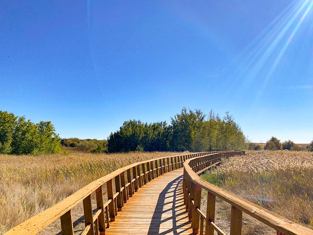 ciudad real provincia