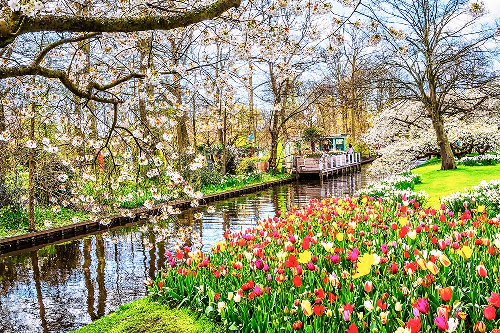 amsterdam paises bajos