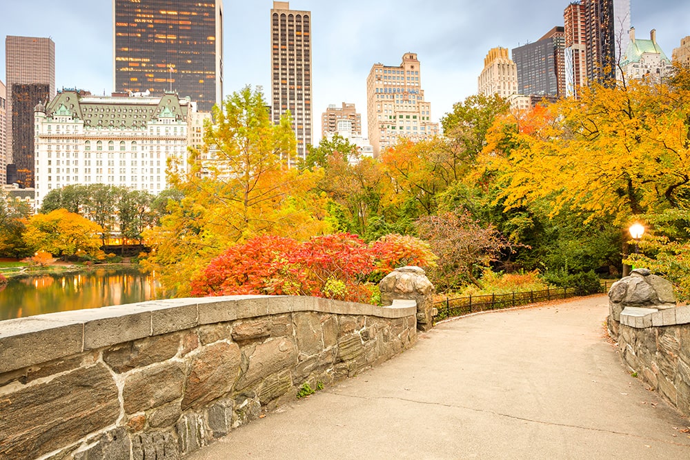 que ver en nueva york