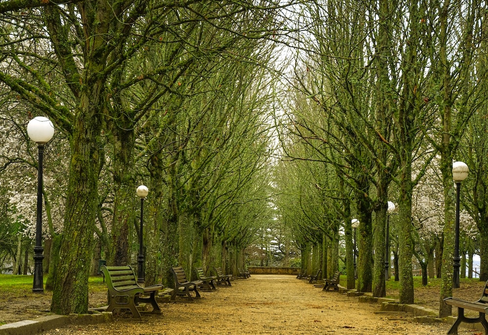 cosas que ver en soria en dos días