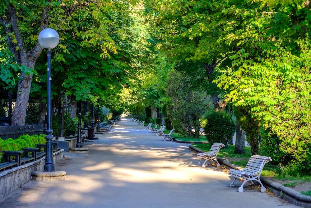 cosas que ver en soria y alrededores