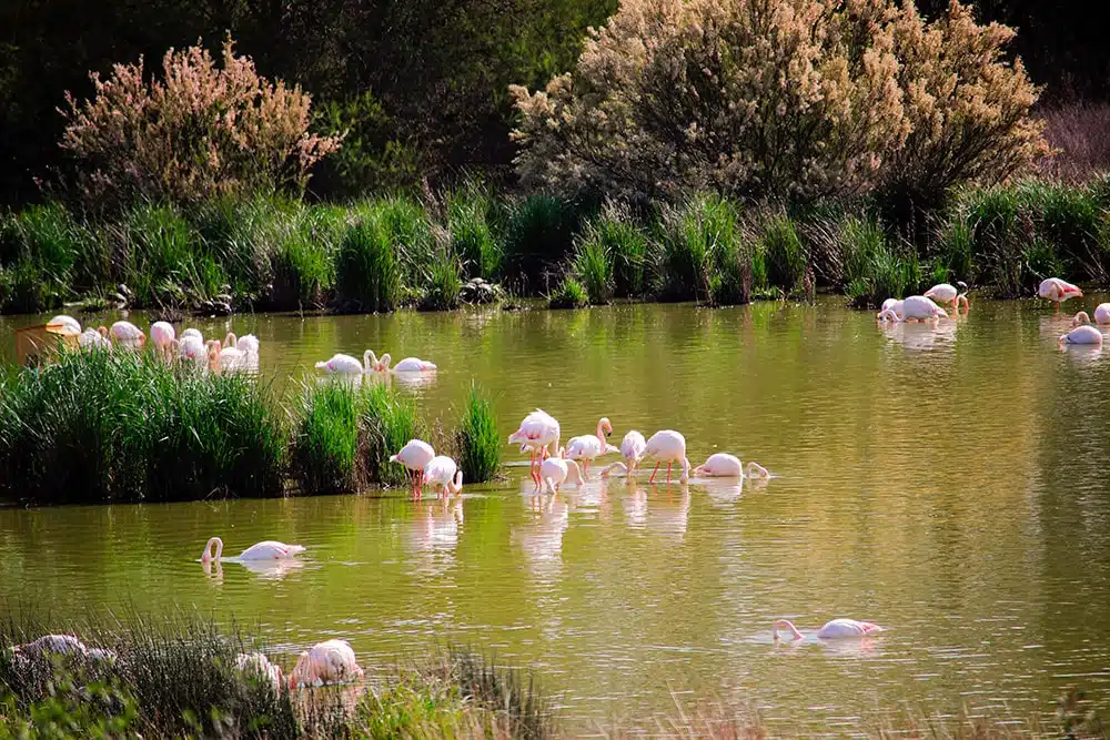 antequera que ver en dos dias