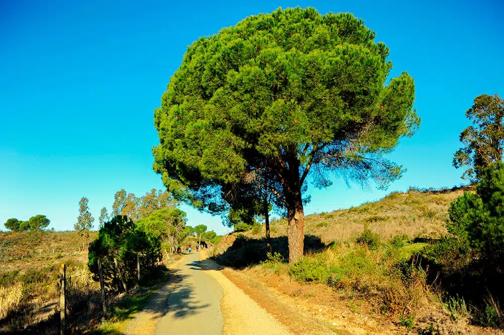 que ver en huelva provincia