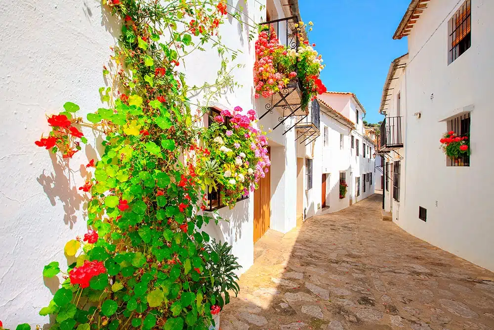 ruta de los pueblos blancos mapa