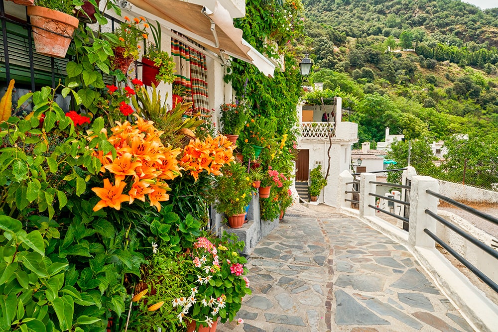 mapa de granada pueblos