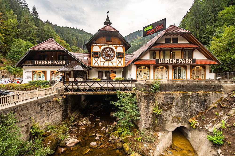 bosque selva negra alemania