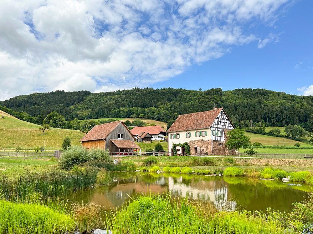 castillos selva negra