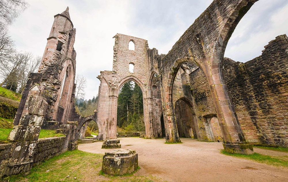 donde esta la selva negra