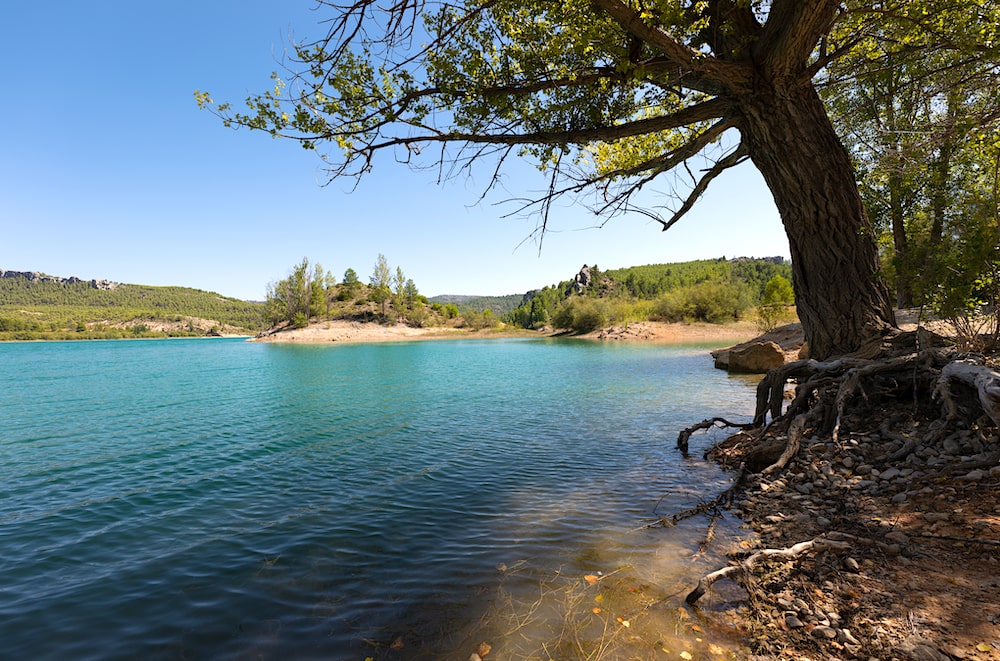 que ver en albacete ciudad