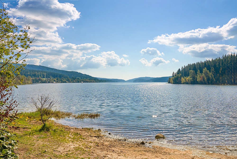 que visitar en la selva negra