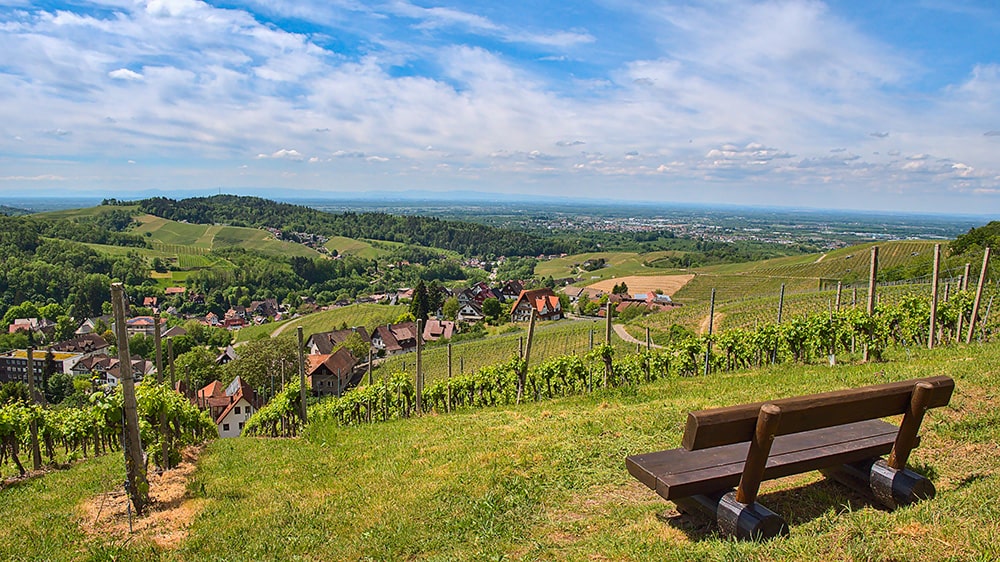 selva negra alemania mapa