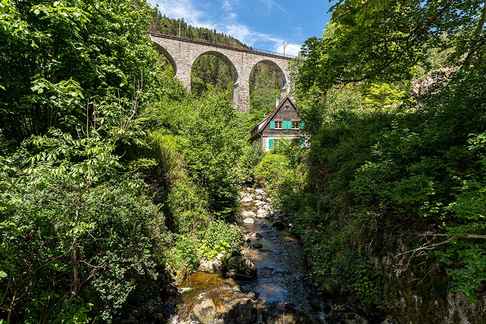 selva negra en alemania