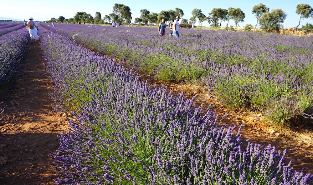 turismo castilla la mancha