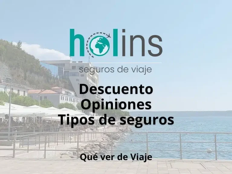 holins seguros opiniones​