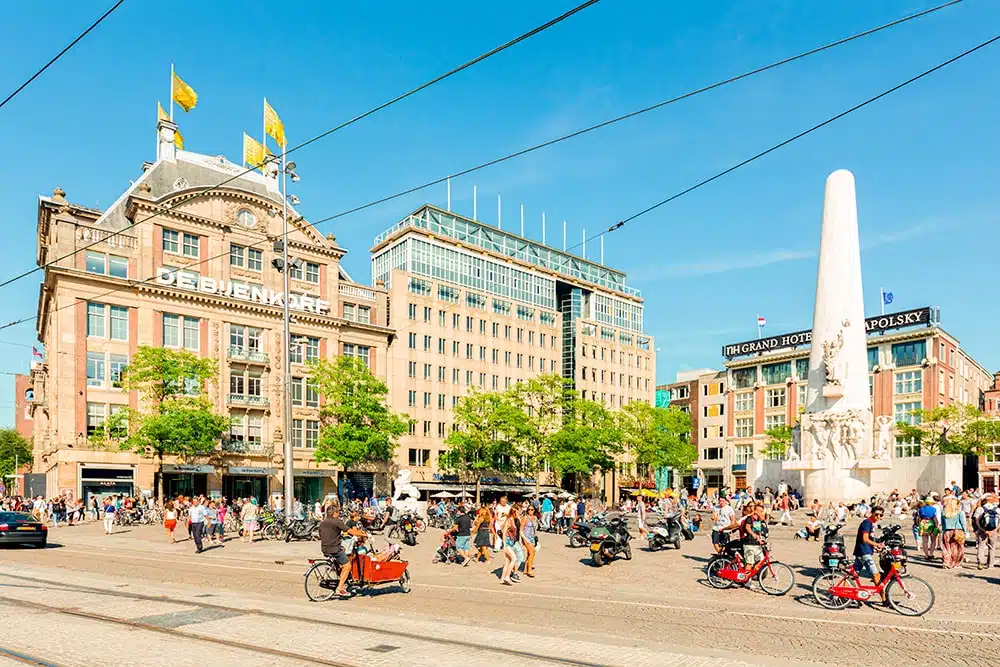 opiniones assist 365