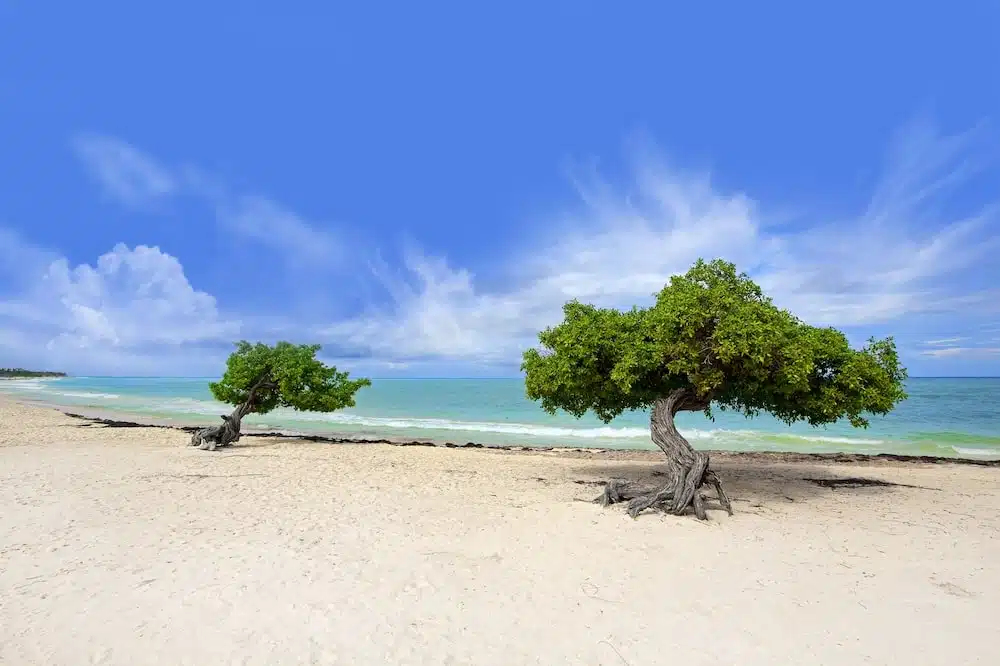 mejor seguro de viaje a aruba