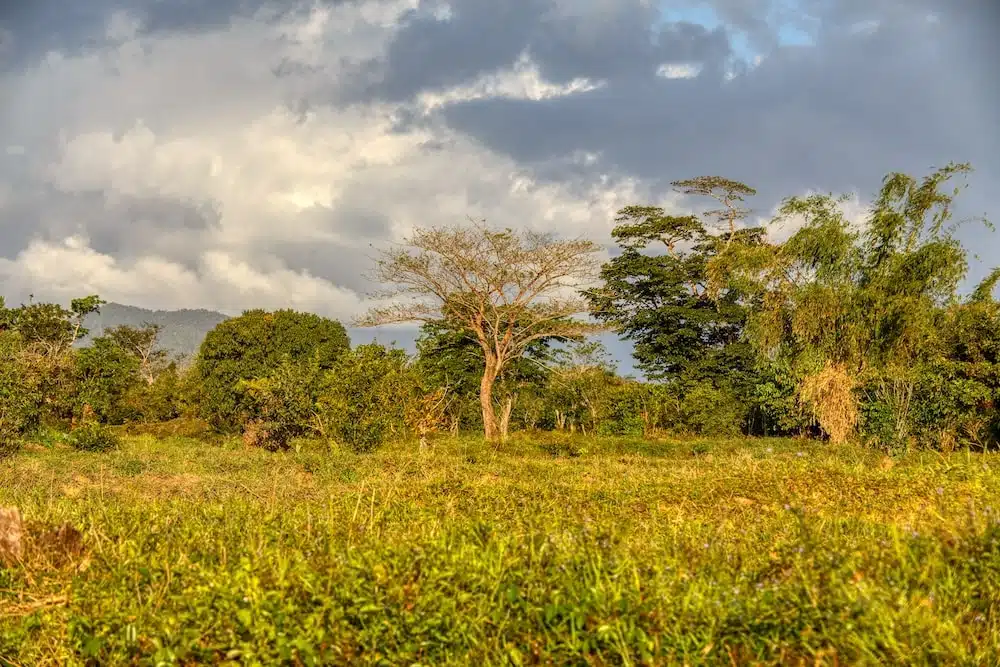 mejor seguro de viaje a madagascar