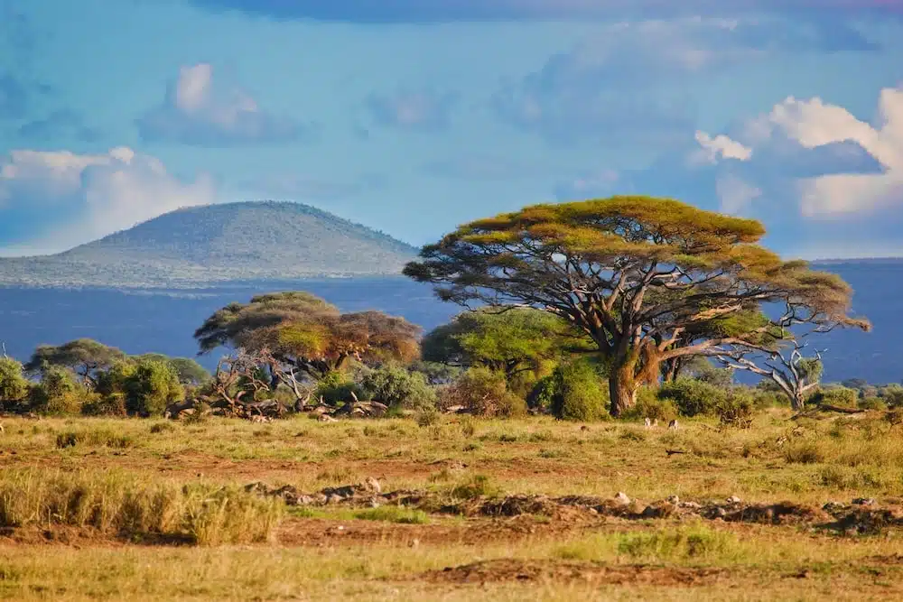 mejores seguros de viaje a kenia