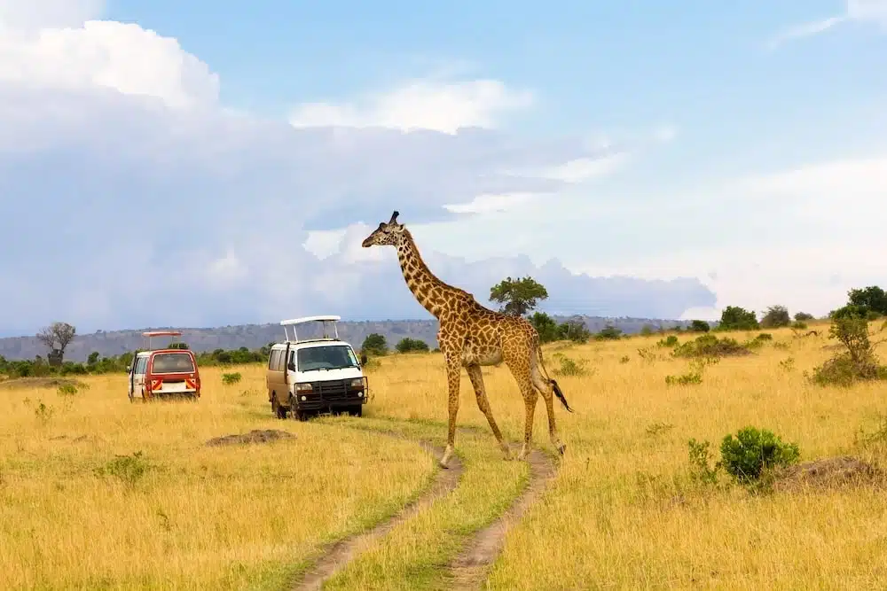 mejores seguros viaje a kenia