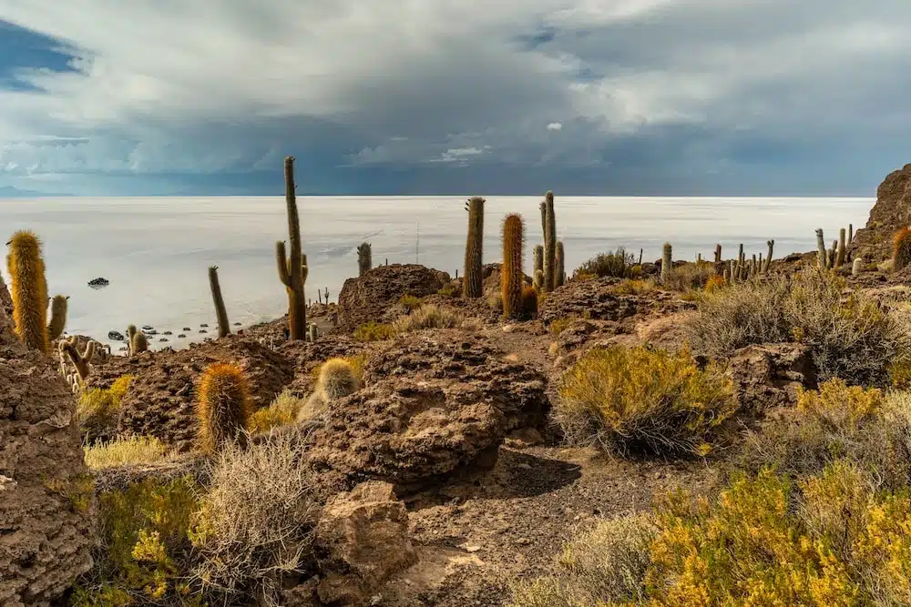 mejor seguro de viaje a bolivia